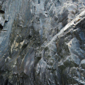 Lil Tampico - La Bestia