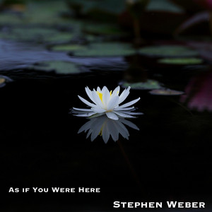 As If You Were Here by Stephen Weber