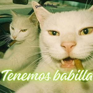 Tenemos babilla by Daddy Ruben