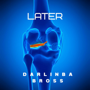 Later by Darlinba Bross