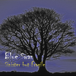 All This Time by Blue Swan