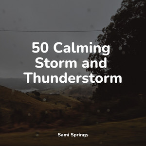 50 Ambient Rain Sounds for Meditation and Sleep album