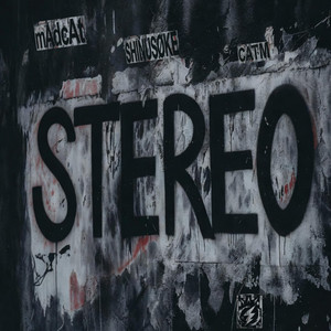 Stereo by mAdcAt, SHINUSØKE, Chris Against The Machine