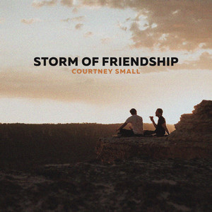 Storm of Friendship