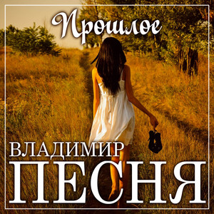 Владимир Песня — Прошлое