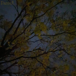 PassiA — Сором'язливість
