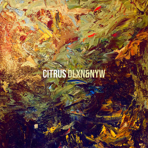 Citrus by DLxN&NYw