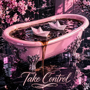 Take control by Light of an Echo