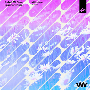 Imaginary Place by Rebel Of Sleep