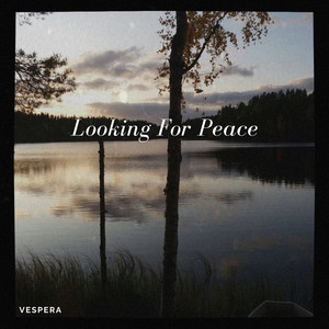 Looking For Peace (Radio edit) by Vespera