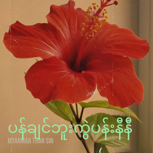ပန်ချင်ဘူးကွဲပန်းနီနီ