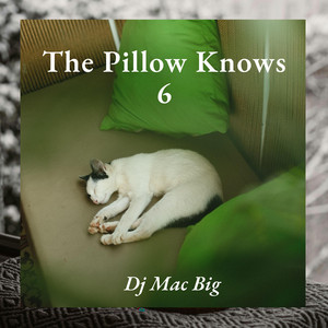 The Pillow Knows 6 by Dj Mac Big