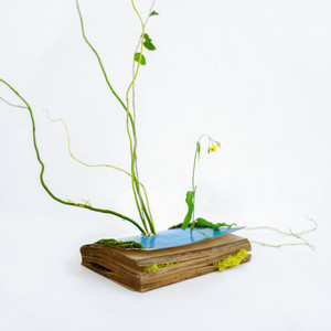 Universe & Dandelion by HAGA