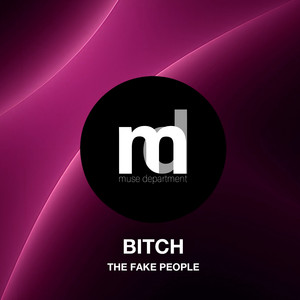 The Fake People — Bitch