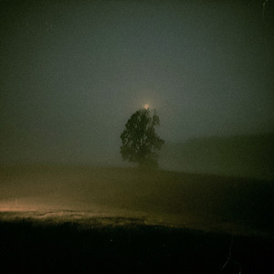 feverdream. by halfwaygone.