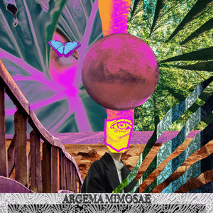 Argema Mimosae