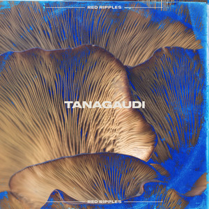 Tanagaudi by Red Ripples