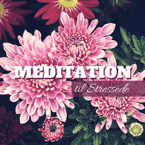 Meditation til Stressede - Berolige Sindet og Stoppe med at Tænke