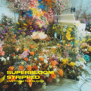 SUPERBLOOM