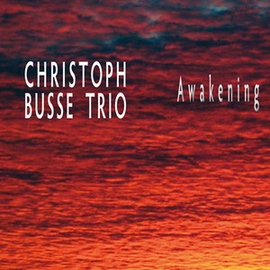 Christoph Busse Trio poster