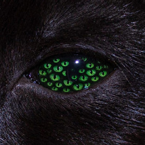 Listen When You're Down... (feat. Gelisasangels, Carliddo, deaira dozart, MegaGoneFree, Yumisocute<3, ILYZAA, Tommi Tsunami & Daicia)