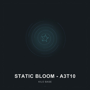 Static Bloom by Kilo Base