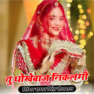 Tu Dhokebaaj Nikalgy by Samay Singh Peelwal