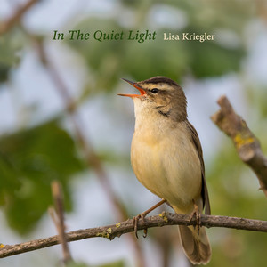 In The Quiet Light by Lisa Kriegler