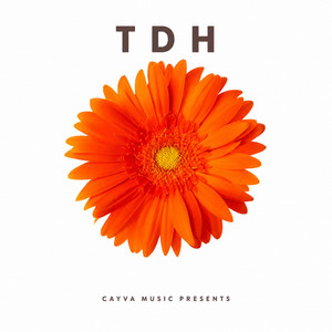 TDH by Lander Flow