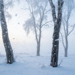 skin so cold by Da Motta
