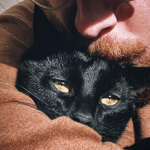 Animal Low by None the Younger, Sleepy Soul