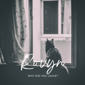 Why Did You Leave by Rovyn
