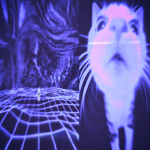 DØZK - BORN TO OFFEND!