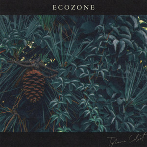 Ecozone (Nocturne)