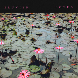 Lotus by Eluvier