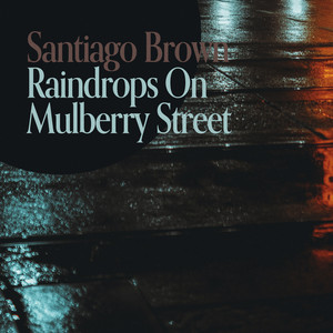 Raindrops On Mulberry Street by Santiago Brown