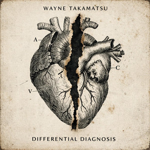 Average as a Wound by Wayne Takamatsu