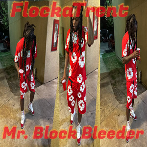 Portada de Mr. Block Bleeder