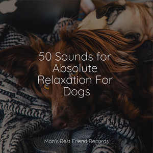 50 Sounds for Absolute Relaxation For Dogs album