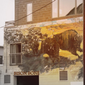 Bison Bone