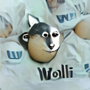 Welle