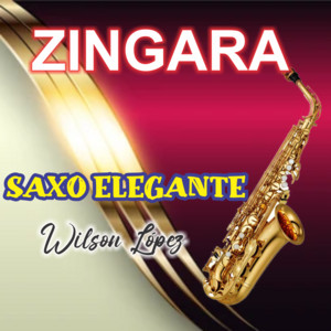 ZINGARA instrumental NICOLA DIBARI by SAXO ELEGANTE