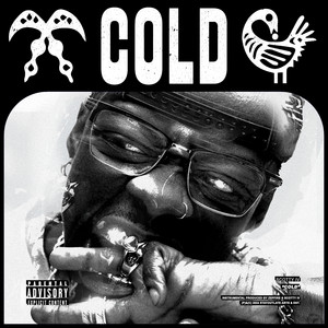 Portada de Cold