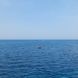 Vicate - Free Your Mind