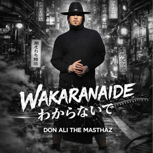Wakaranaide わからないで by Don ali The Masthaz, Anaya Music