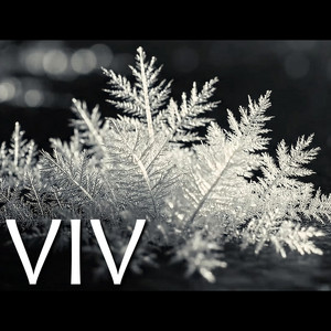 If You Really Knew Me by Vermouth IV
