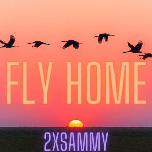 FLY HOME