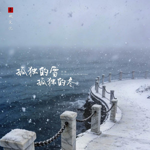 孤独的雪孤独的冬(DJ阿尼版) by 方辰