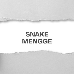 SNAKE MENGGE by Eang Hokage