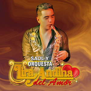 SAUL Y ORQUESTA LIRA ANDINA DEL AMOR - CASATE CONMIGO